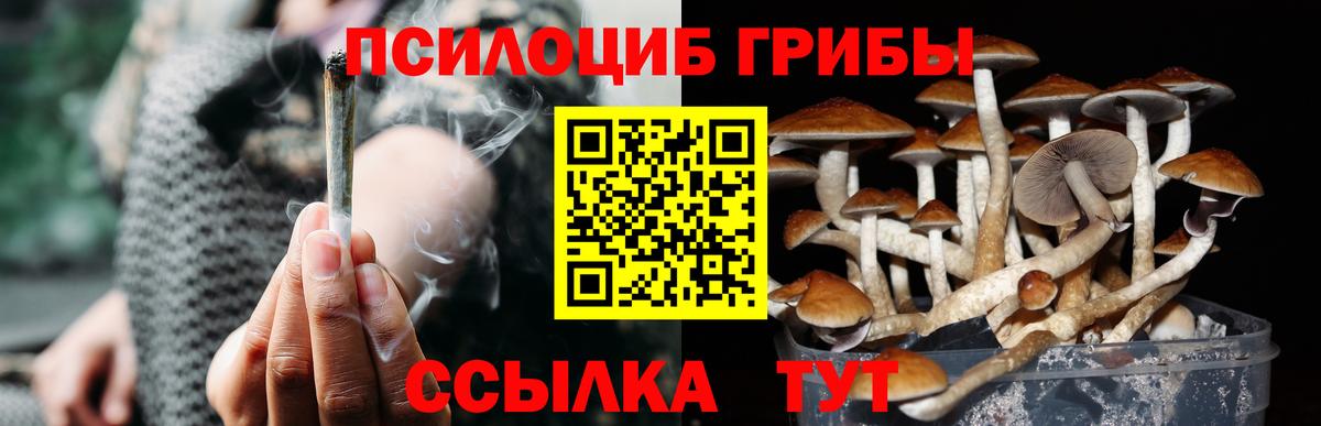 Галлюциногенные грибы MAGIC MUSHROOMS Усть-Лабинск